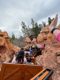 people are riding in the back of a roller coaster at an amusement park with rocks and trees