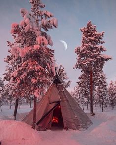 a teepee in the snow near some trees and a half - moon is visible