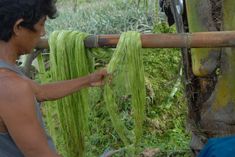 a man is weaving grass on a bamboo pole