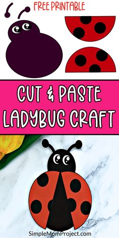 the ladybug craft is cut and pasted to look like it's sitting on