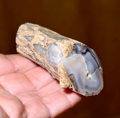 2 Faces Polished Agatized Eocene Wood Fossil Limb Branch Eden Valley, Wyoming | eBay Indian Artifacts For Sale, Ohms Law, Face Polish, Water Body, Indian Artifacts, The Eden, Green River