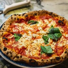 a pizza sitting on top of a blue and white plate covered in cheese, sauce and basil