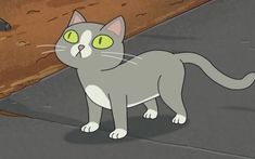 a gray cat with green eyes standing on the street