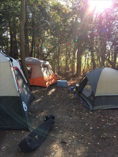 several tents are pitched up in the woods