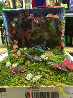 a box filled with lots of butterflies sitting on top of green moss covered flooring