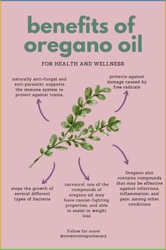 Oregano is a potent herb with so many benefits!-more than making for a tasty addition to pasta dishes 😋  From its immune-boosting properties to its ab Oregano Herb Benefits, Benefits Of Oregano Oil Capsules, Oregano Essential Oil Benefits, Benefits Of Oil Of Oregano, Oregano Oil Benefits Internal, Oil Of Oregano Recipe, Oil Of Oregano Benefits How To Use, Oregano Tea Benefits, Oregano Oil Uses