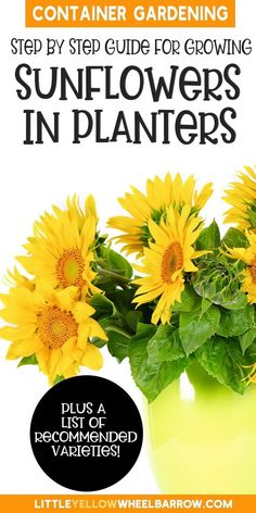 a yellow vase filled with sunflowers sitting on top of a table next to a green plant