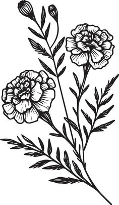 Fantasy marigold wall decor, marigold doodle, and sticker, Marigold vector art, monochrome floral illustration. ink vector illustration hand drawn pencil sketch, a branch of botanical collectio Wild Flower Art Drawings, Desert Marigold Tattoo, Marigold Border Design, Marigold Chest Tattoo, Easy Marigold Drawing, Marigold Flower Tattoo Traditional, Marigold Outline Tattoo, Feminine Blackwork Tattoo, Marigold Traditional Tattoo