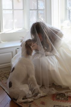 a woman in a wedding dress sitting next to a dog wearing a veil on her head