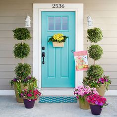 a blue front door with potted flowers on it