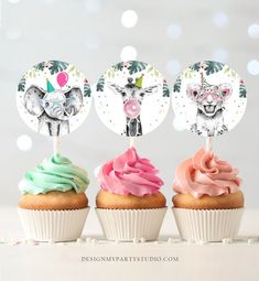 three cupcakes with pink and green frosting in front of a white background