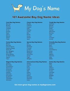 a dog's name on a blue background with the words, my dog's name