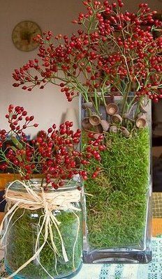 a vase filled with red flowers on top of a table next to another vase full of green plants