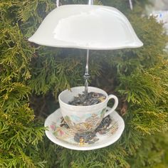 a tea cup hanging from a bird feeder