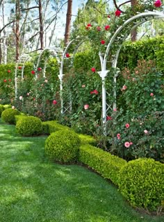 the garden is lined with lush green grass and trimmed with pink roses, bushes and trelliss