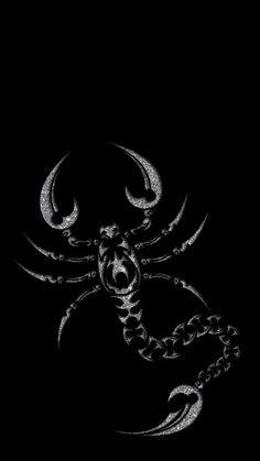 a black and white drawing of a scorpion on a dark background with the word,