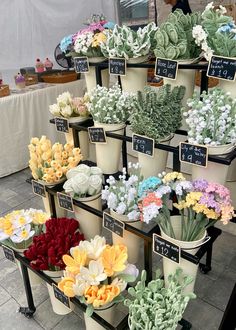 many different types of flowers are on display