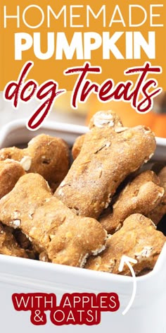 homemade pumpkin dog treats with apples and oats in a white container on a table