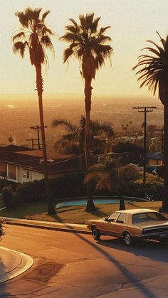 two cars parked on the side of a road next to palm trees and buildings in the background