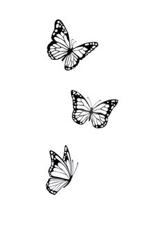 three butterflies flying in the sky with black and white colors on their wings, all facing different directions