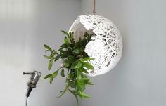 a white umbrella hanging from the ceiling next to a potted plant and a hair dryer