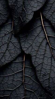 black and gold leaves are arranged in the shape of an intricate pattern on a dark background