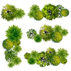 the top view of trees and bushes from above royalty illustration on white background stock images