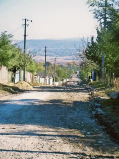 an old dirt road with trees on both sides