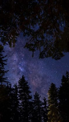 the night sky is filled with stars and trees