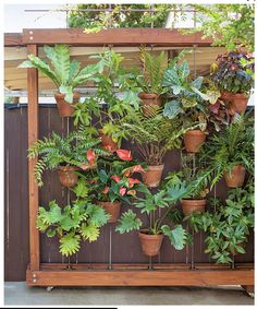 many plants are growing on the side of a fence