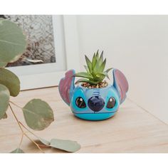 a small blue planter with an air plant in it sitting on a wooden table