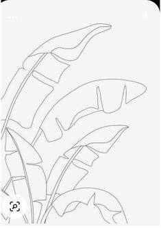 a line drawing of a plant with leaves