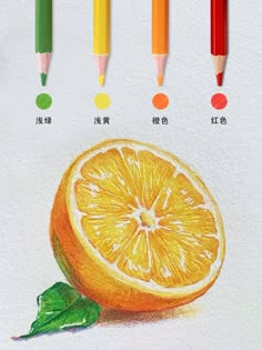 Orange By Acmeliae Media Orange Marker Drawing, Oranges Drawing, Glitter Drawing, Orange Drawing, Prismacolor Drawing, Pencil Inspiration