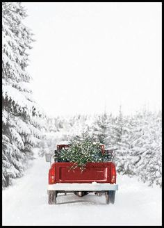 a red truck with a christmas tree in the back driving down a snow covered road