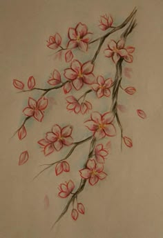 a drawing of pink flowers on a white background