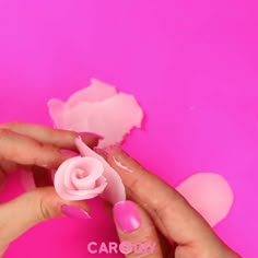 a woman's hands with pink nail polish holding a rose