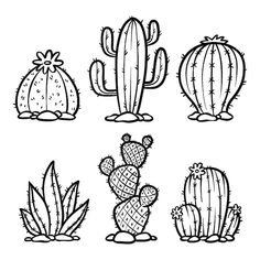 six cactuses with different shapes and sizes