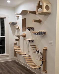 a cat sitting on top of a wooden staircase next to a wall mounted bird house