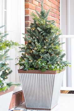 a potted christmas tree with lights on it