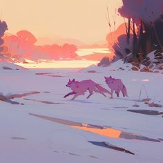 two pink foxes running in the snow at sunset