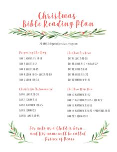 the christmas bible reading plan is shown in red and green