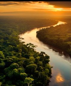 an aerial view of a river surrounded by green trees at sunset or dawn with the sun setting in the distance