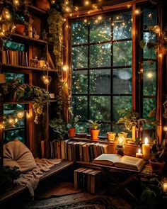 a room filled with lots of books and plants next to a window covered in lights