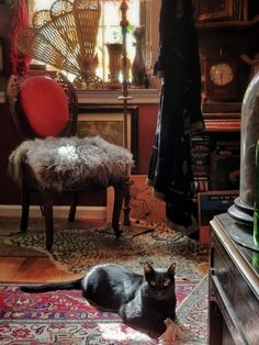 a black cat sitting on top of a rug next to a chair