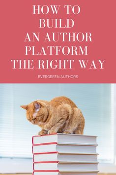 an orange cat sitting on top of a stack of books with the title how to build an author platform the right way