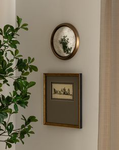 a potted plant sitting next to a framed photograph