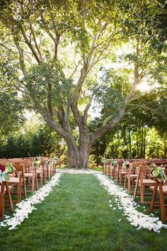 an outdoor ceremony setup with wooden chairs and white petals on the grass under a large tree