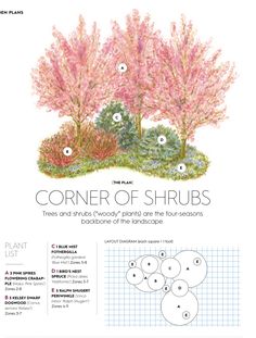 the corner of shrubs is shown in this diagram