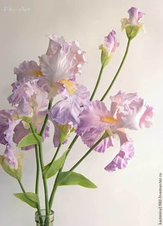 a glass vase filled with purple flowers on top of a table next to a white wall