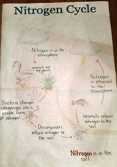 a paper with an image of a water cycle on it